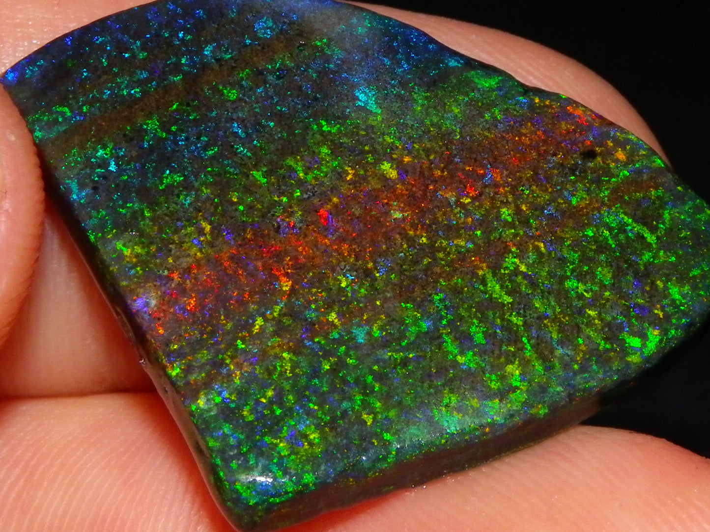 Very Nice Andamooka Matrix Opal Rough/Treated/Sliced Piece 22.12cts Multicolours/Bands