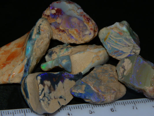 Nice Lightning Ridge Opal Rough/Specimens 260cts Fossil/Nobby Some Fires :)