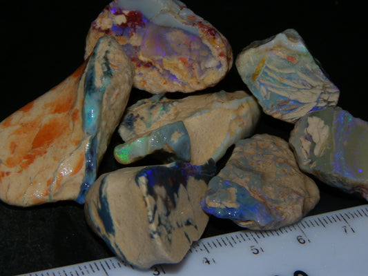 Nice Lightning Ridge Opal Rough/Specimens 260cts Fossil/Nobby Some Fires :)