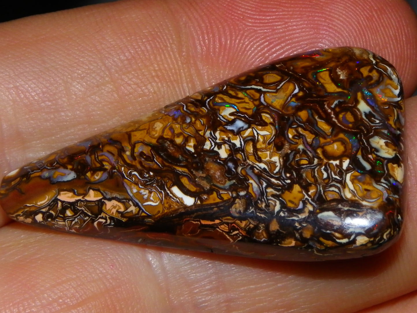 Nice Cut/Polished Yowah Nut Opal Cab 55.5cts Great Patterns/Some Fires Queensland Au