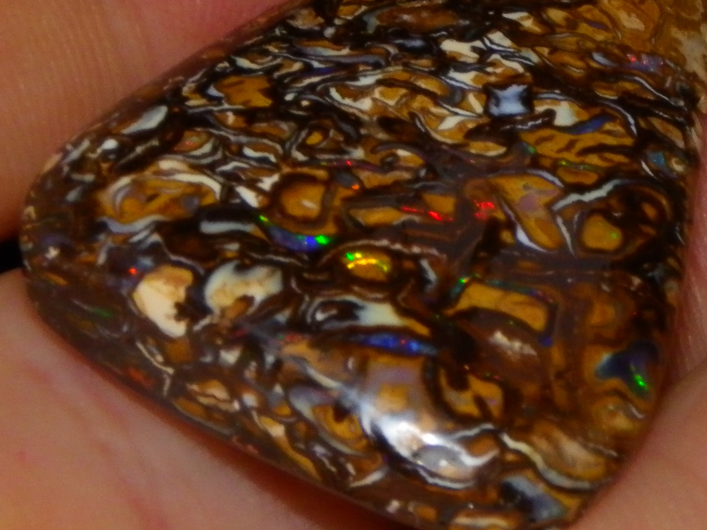 Nice Cut/Polished Yowah Nut Opal Cab 55.5cts Great Patterns/Some Fires Queensland Au