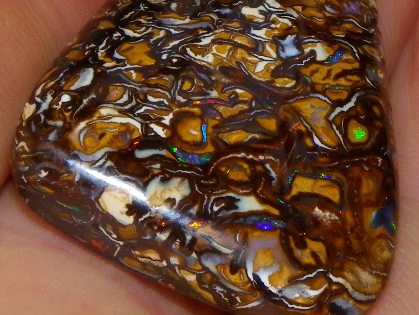 Nice Cut/Polished Yowah Nut Opal Cab 55.5cts Great Patterns/Some Fires Queensland Au