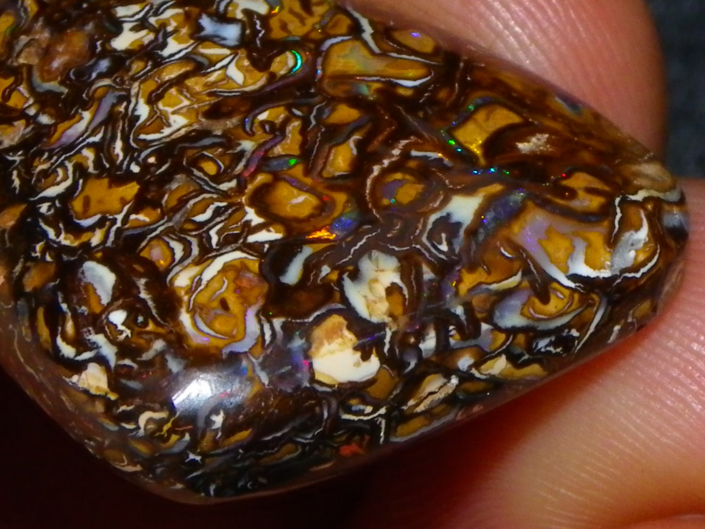 Nice Cut/Polished Yowah Nut Opal Cab 55.5cts Great Patterns/Some Fires Queensland Au