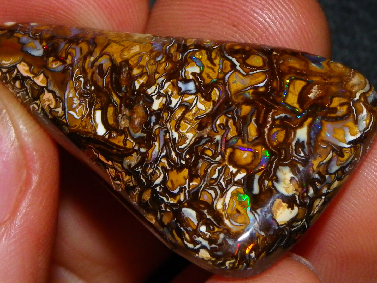 Nice Cut/Polished Yowah Nut Opal Cab 55.5cts Great Patterns/Some Fires Queensland Au