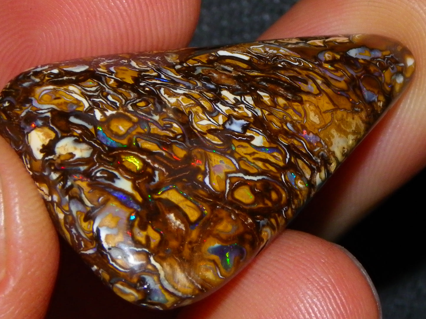 Nice Cut/Polished Yowah Nut Opal Cab 55.5cts Great Patterns/Some Fires Queensland Au