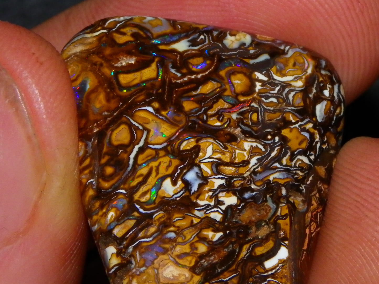 Nice Cut/Polished Yowah Nut Opal Cab 55.5cts Great Patterns/Some Fires Queensland Au