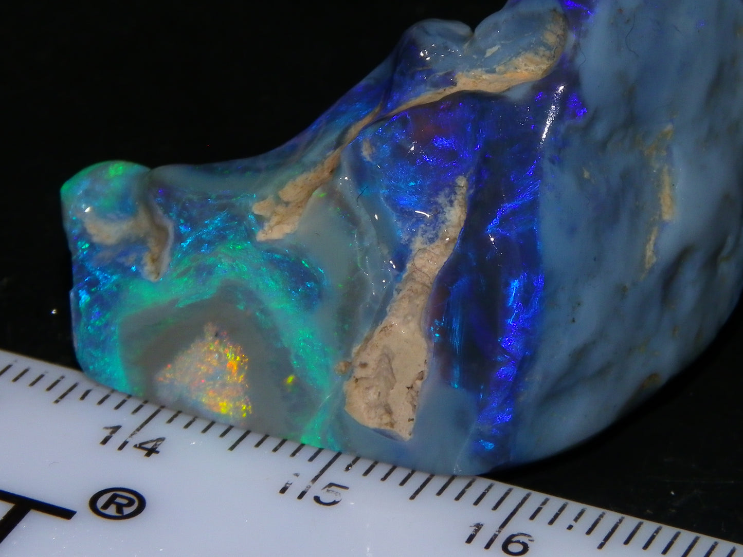 Large Rough/Sliced Lightning Ridge Opal specimen 111.5cts Blue/Purple/Green Fires Carve/Cut.,