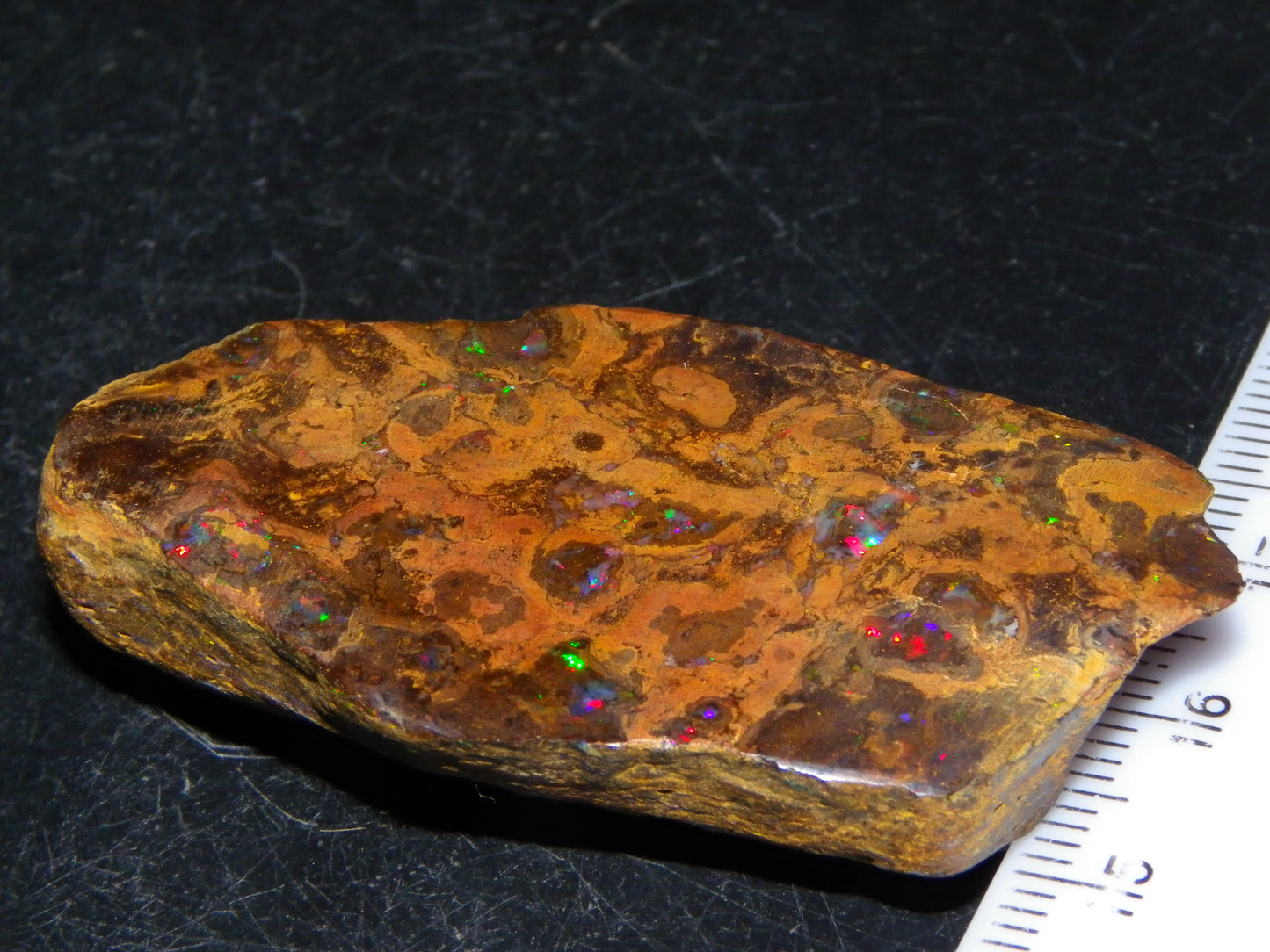 Nice Polished Matrix Opal Specimen/Rub 135cts Queensland Australia Red/Green/Blue Fires