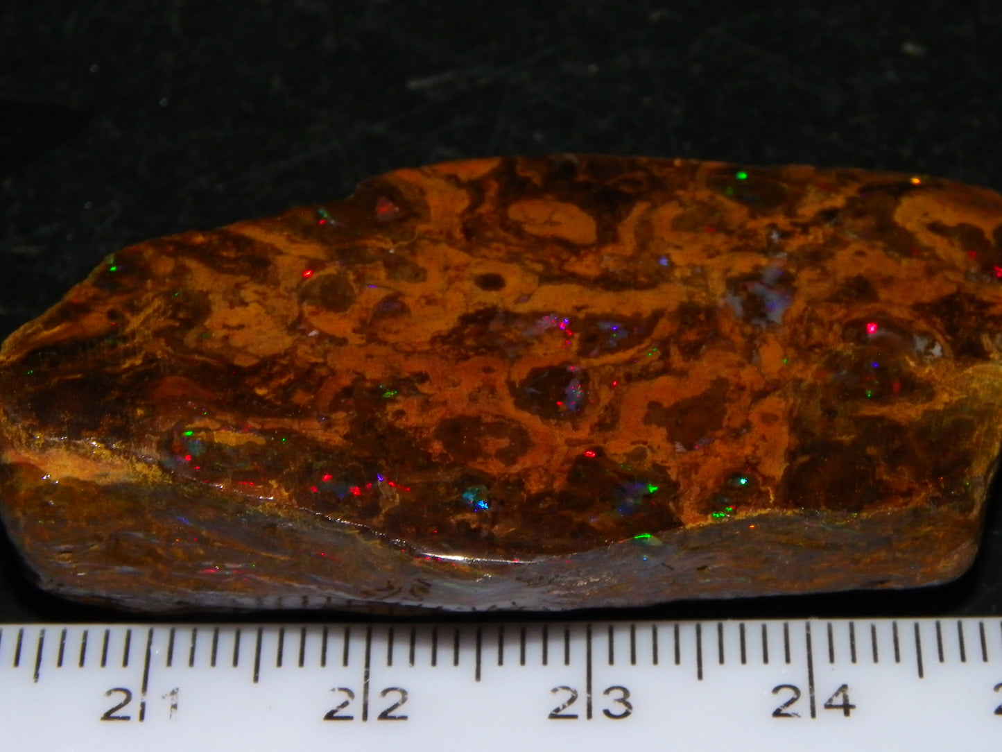 Nice Polished Matrix Opal Specimen/Rub 135cts Queensland Australia Red/Green/Blue Fires