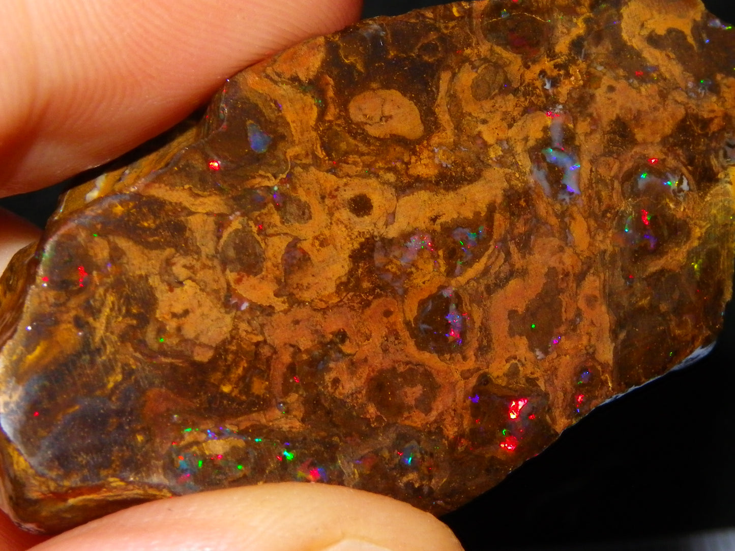 Nice Polished Matrix Opal Specimen/Rub 135cts Queensland Australia Red/Green/Blue Fires