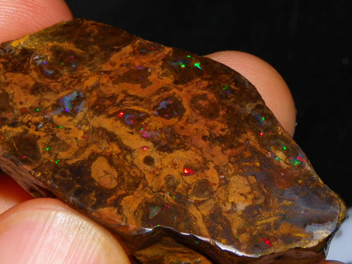 Nice Polished Matrix Opal Specimen/Rub 135cts Queensland Australia Red/Green/Blue Fires