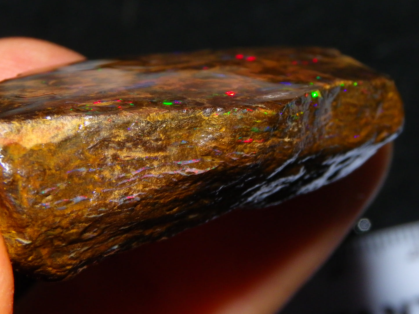 Nice Polished Matrix Opal Specimen/Rub 135cts Queensland Australia Red/Green/Blue Fires