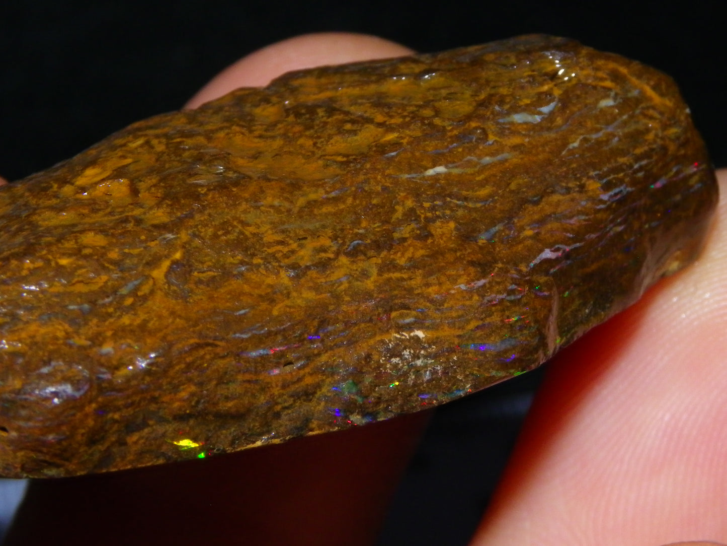 Nice Polished Matrix Opal Specimen/Rub 135cts Queensland Australia Red/Green/Blue Fires