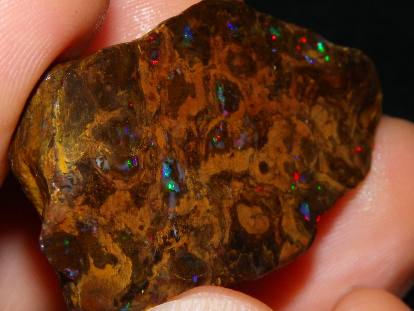 Nice Polished Matrix Opal Specimen/Rub 135cts Queensland Australia Red/Green/Blue Fires