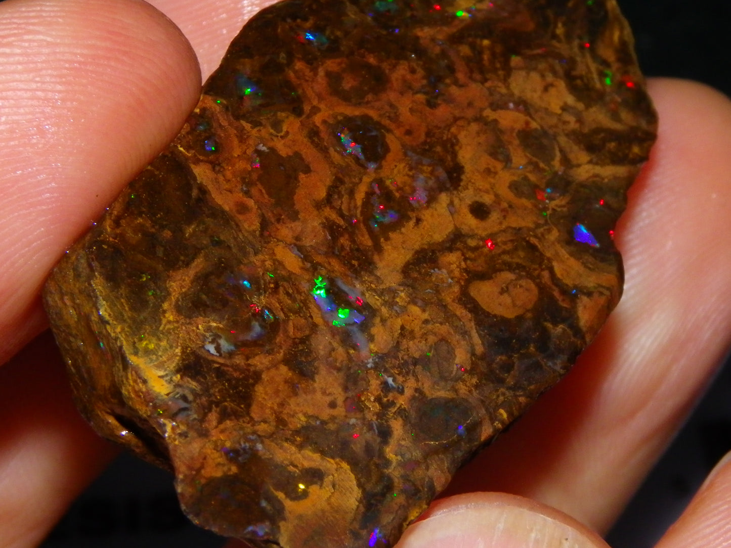 Nice Polished Matrix Opal Specimen/Rub 135cts Queensland Australia Red/Green/Blue Fires