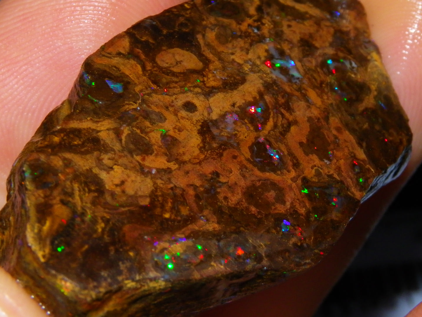 Nice Polished Matrix Opal Specimen/Rub 135cts Queensland Australia Red/Green/Blue Fires