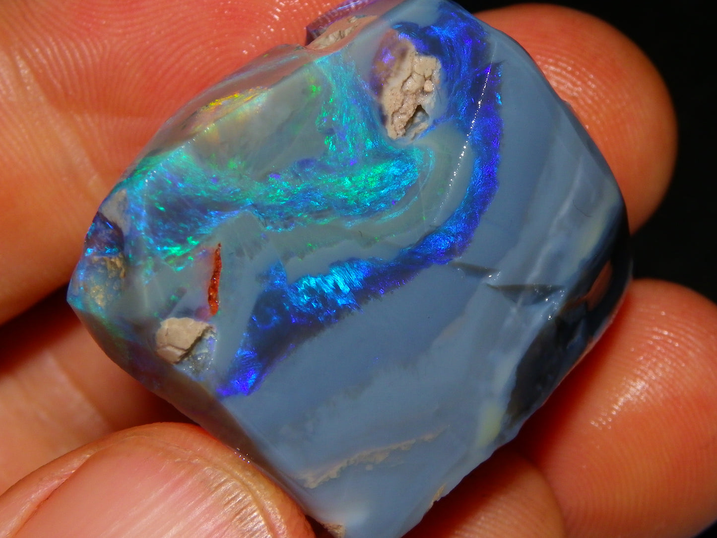 Large Rough/Sliced Lightning Ridge Opal specimen 111.5cts Blue/Purple/Green Fires Carve/Cut.,