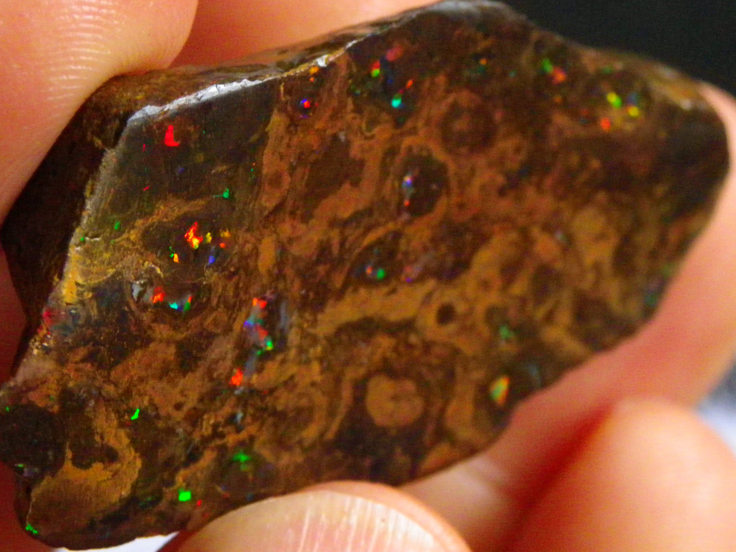 Nice Polished Matrix Opal Specimen/Rub 135cts Queensland Australia Red/Green/Blue Fires