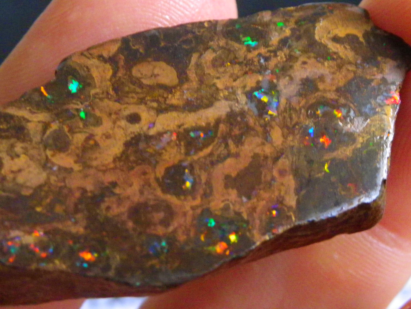 Nice Polished Matrix Opal Specimen/Rub 135cts Queensland Australia Red/Green/Blue Fires