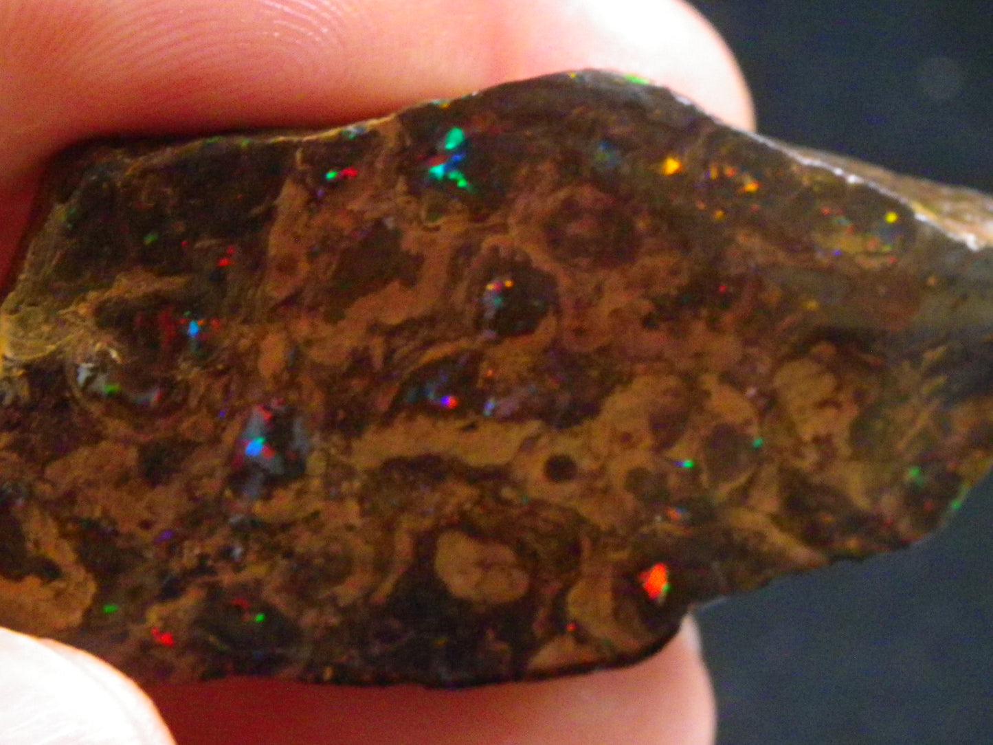 Nice Polished Matrix Opal Specimen/Rub 135cts Queensland Australia Red/Green/Blue Fires