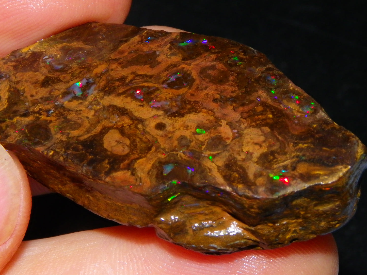 Nice Polished Matrix Opal Specimen/Rub 135cts Queensland Australia Red/Green/Blue Fires