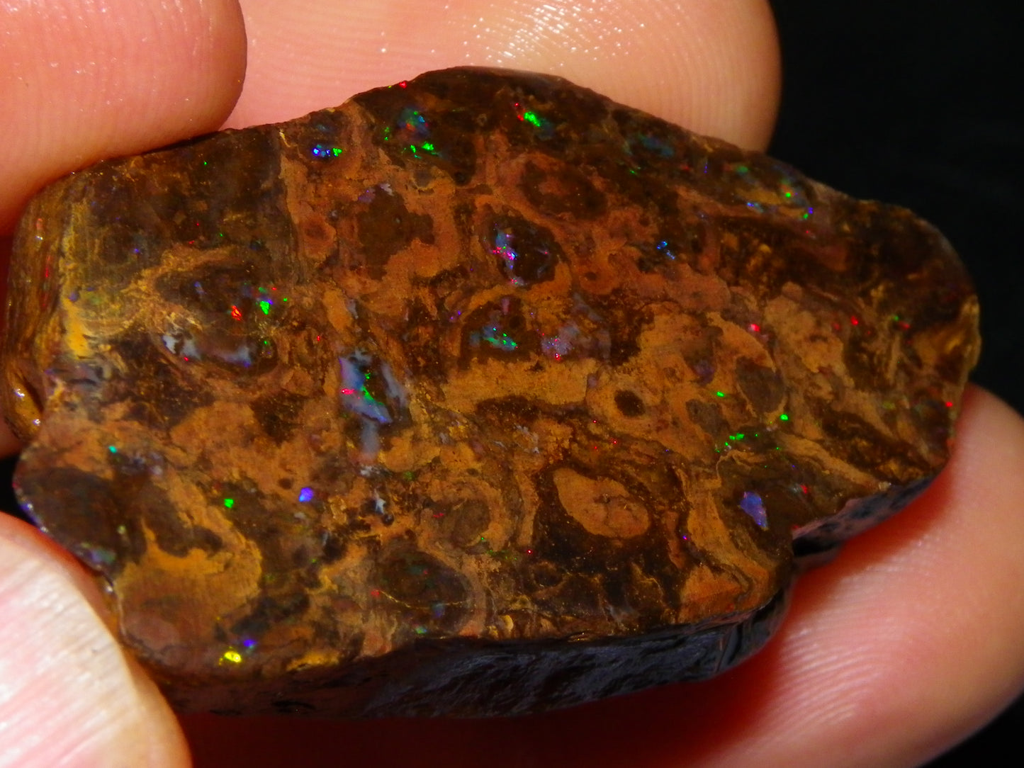 Nice Polished Matrix Opal Specimen/Rub 135cts Queensland Australia Red/Green/Blue Fires