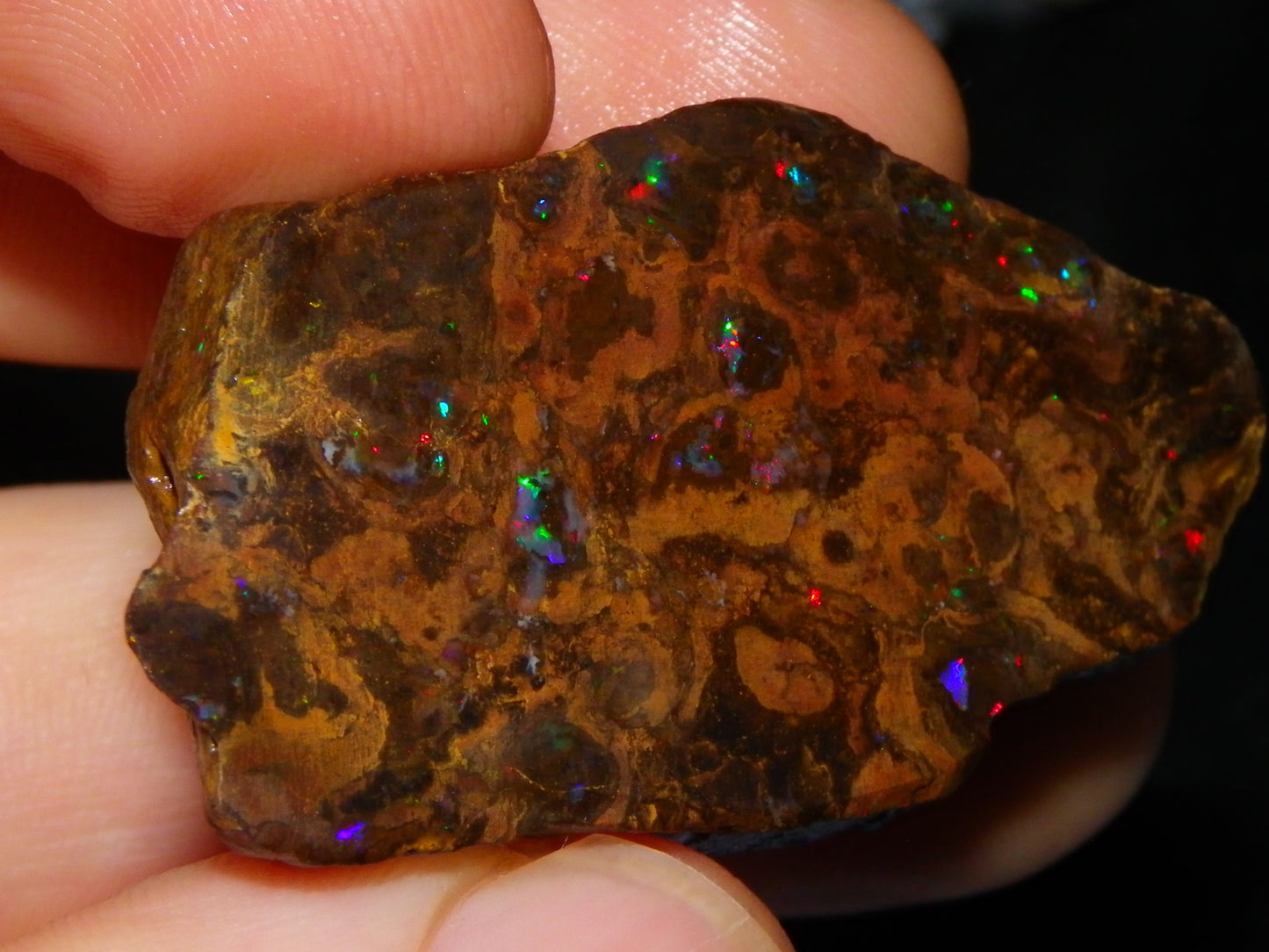 Nice Polished Matrix Opal Specimen/Rub 135cts Queensland Australia Red/Green/Blue Fires