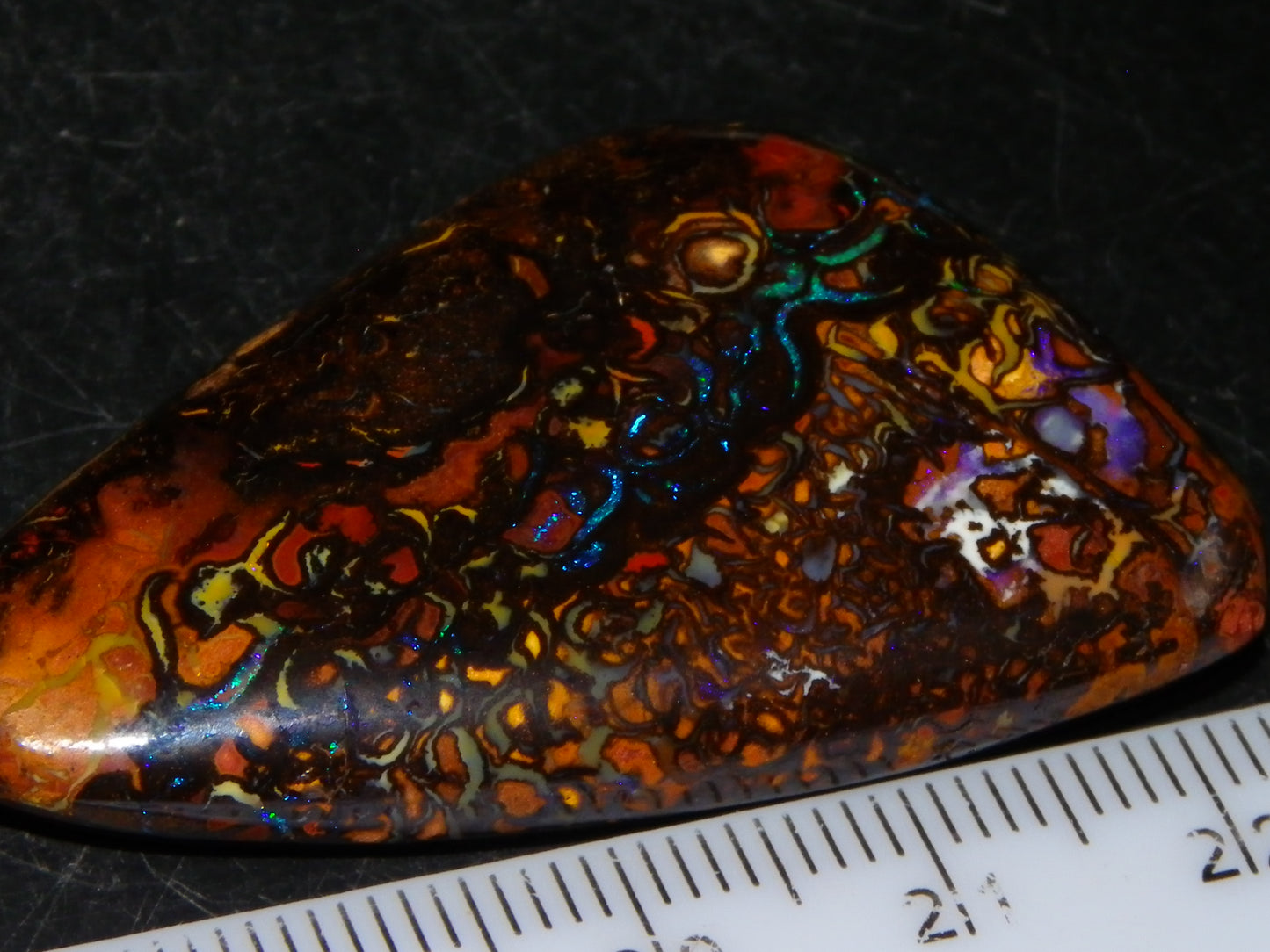 Nice Quality Cut/Polished Koroit Opal Cab/Gem 75.79cts Patterns/Fires Queensland Australia