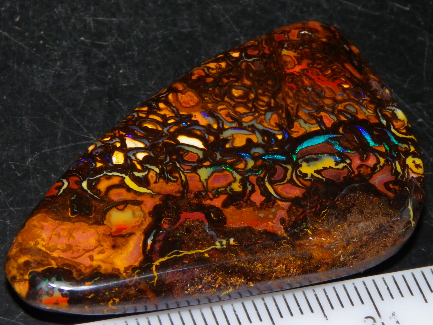 Nice Quality Cut/Polished Koroit Opal Cab/Gem 75.79cts Patterns/Fires Queensland Australia