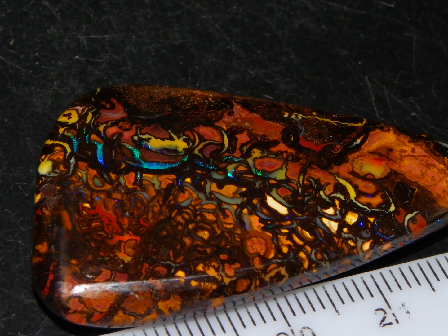 Nice Quality Cut/Polished Koroit Opal Cab/Gem 75.79cts Patterns/Fires Queensland Australia