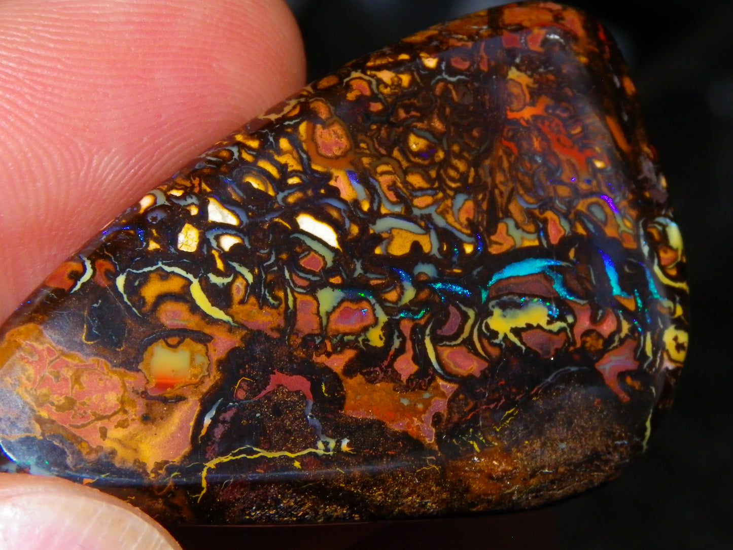 Nice Quality Cut/Polished Koroit Opal Cab/Gem 75.79cts Patterns/Fires Queensland Australia