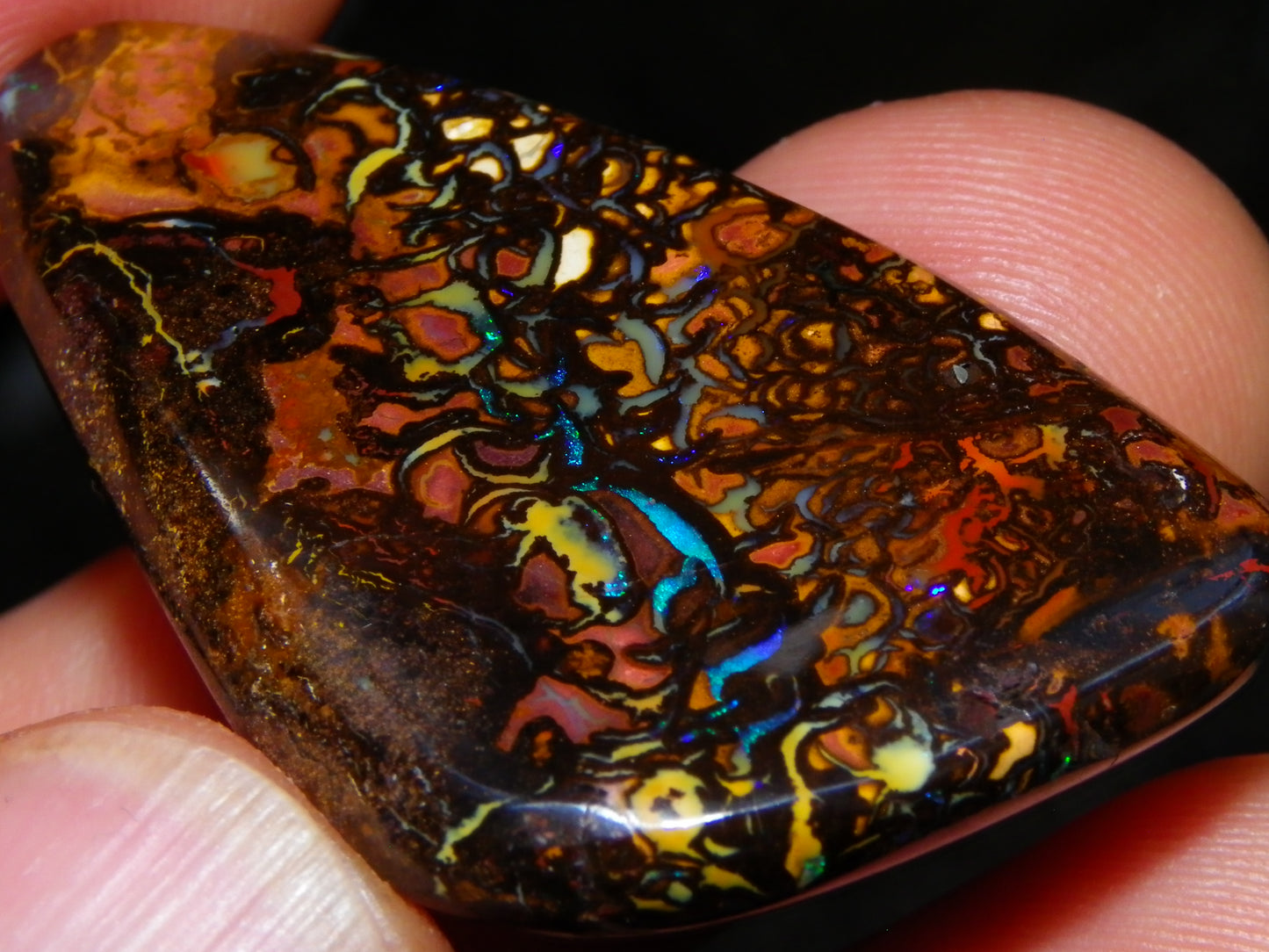 Nice Quality Cut/Polished Koroit Opal Cab/Gem 75.79cts Patterns/Fires Queensland Australia