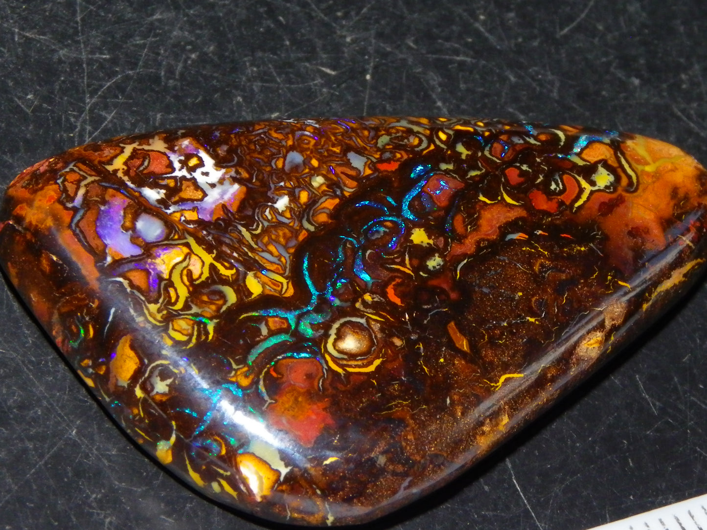 Nice Quality Cut/Polished Koroit Opal Cab/Gem 75.79cts Patterns/Fires Queensland Australia