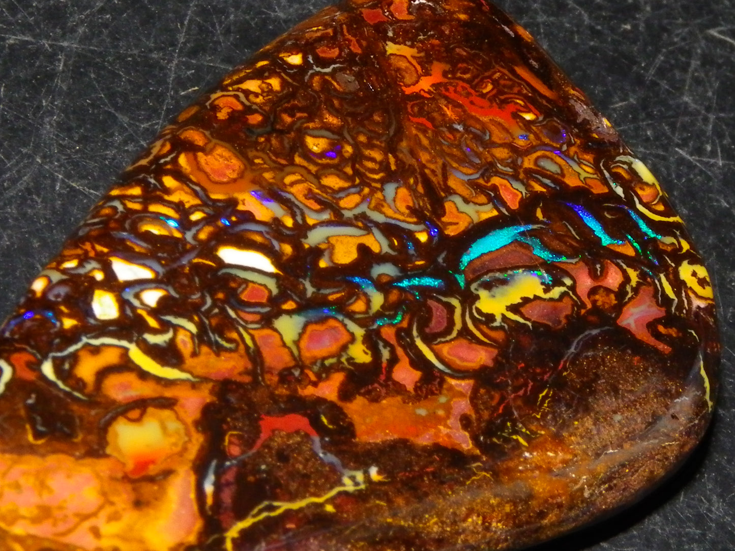 Nice Quality Cut/Polished Koroit Opal Cab/Gem 75.79cts Patterns/Fires Queensland Australia