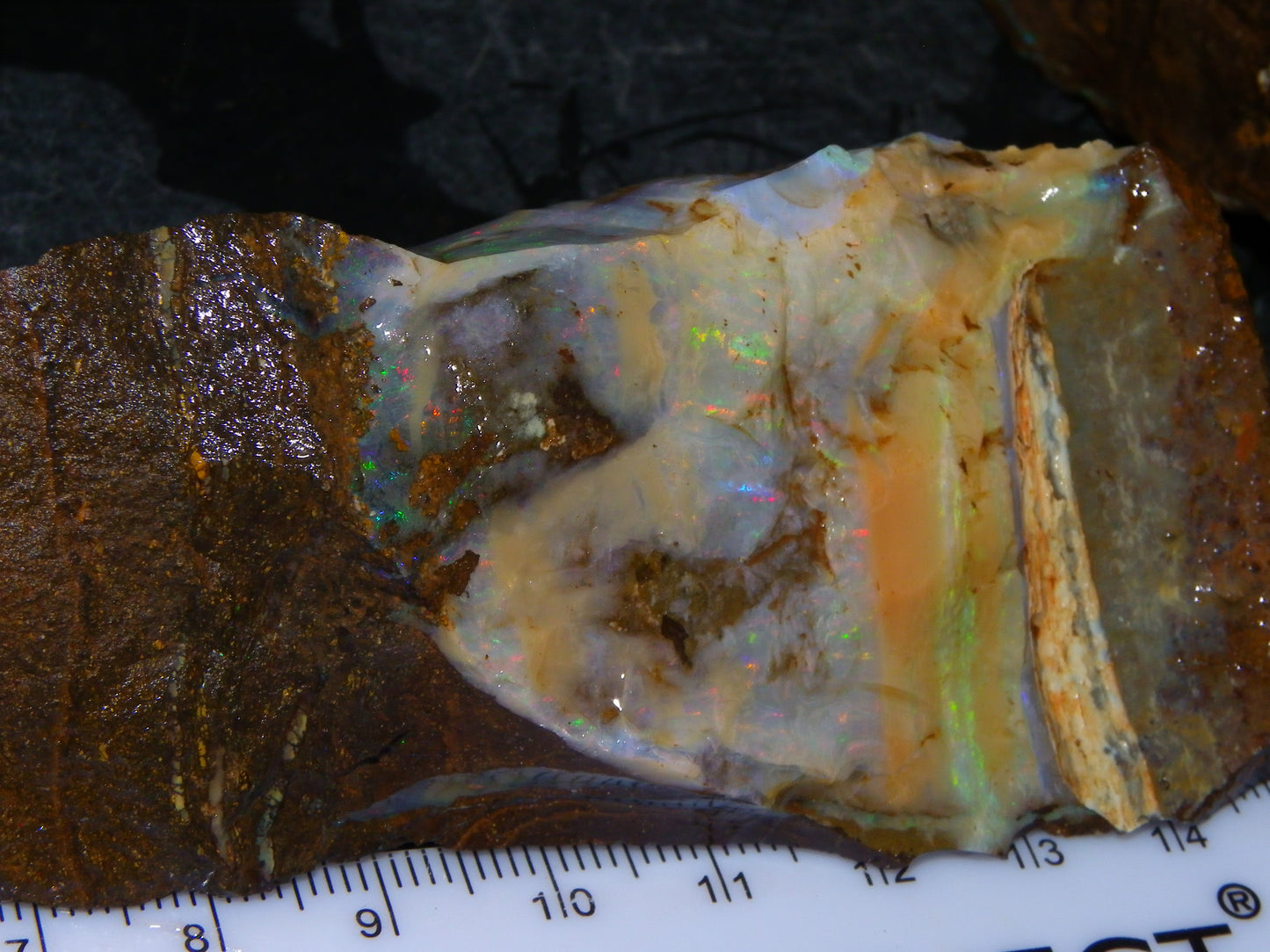 2 Large Split Queensland Boulder Opals 3086cts 5 Faces with Fires 2 matching Split