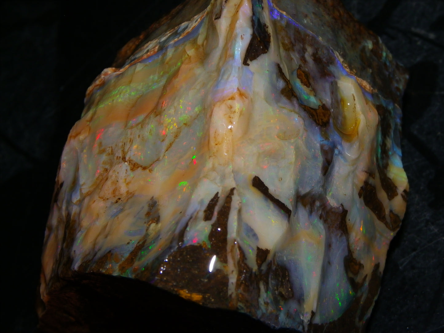 2 Large Split Queensland Boulder Opals 3086cts 5 Faces with Fires 2 matching Split
