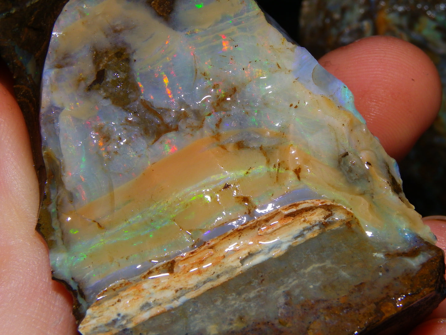 2 Large Split Queensland Boulder Opals 3086cts 5 Faces with Fires 2 matching Split