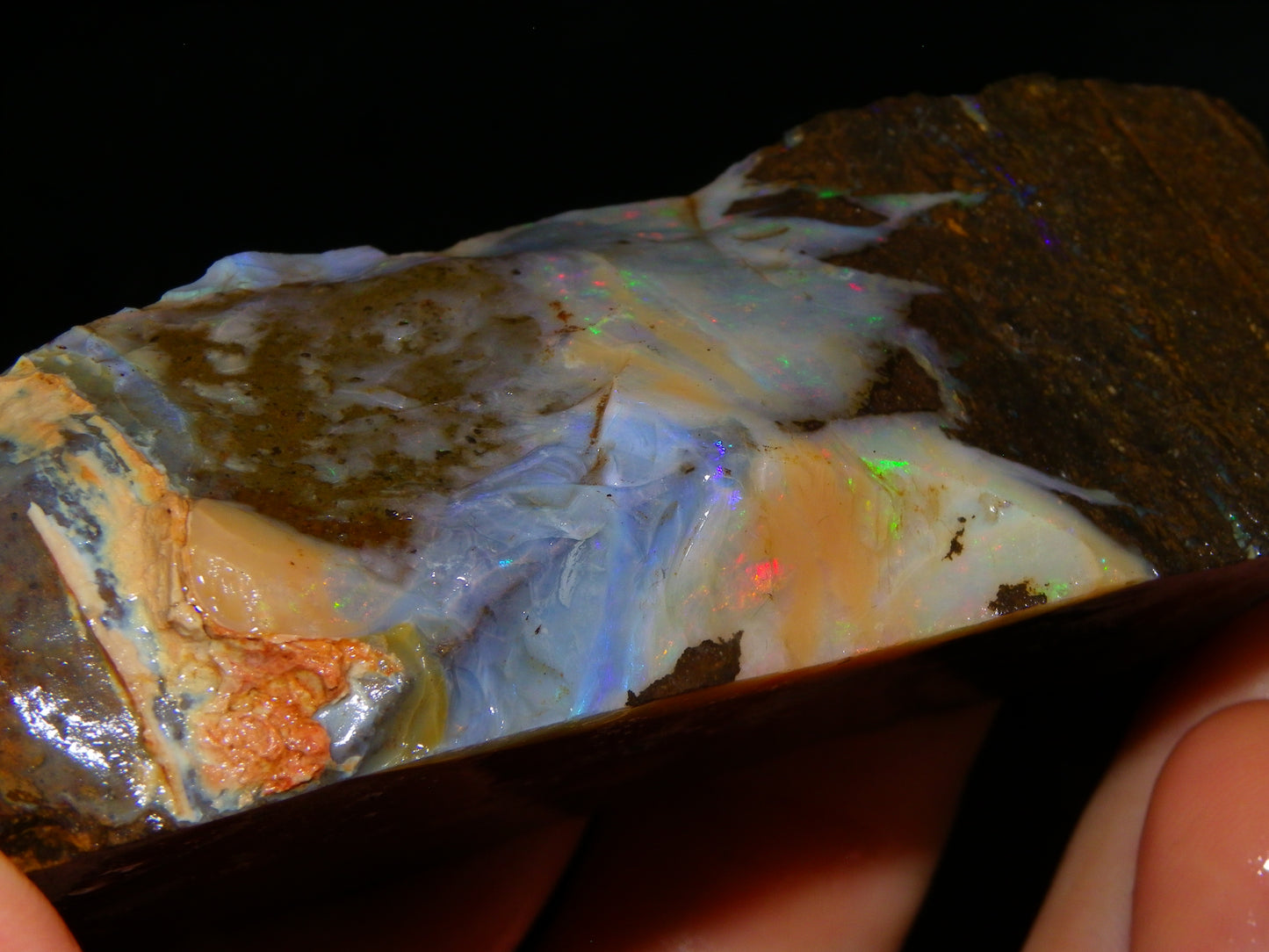 2 Large Split Queensland Boulder Opals 3086cts 5 Faces with Fires 2 matching Split