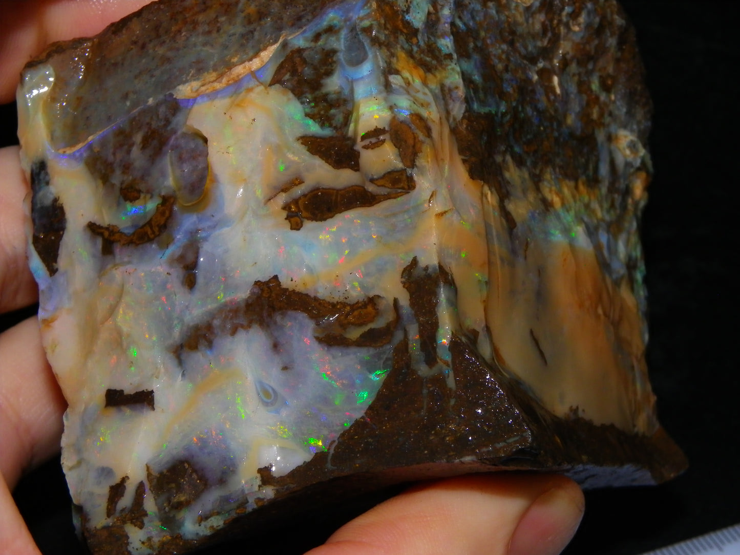 2 Large Split Queensland Boulder Opals 3086cts 5 Faces with Fires 2 matching Split