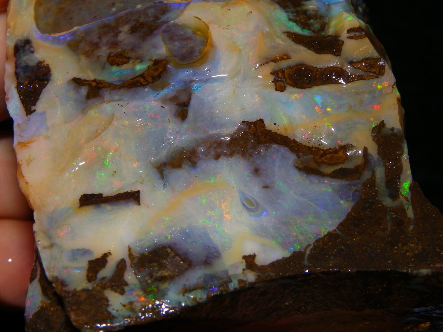 2 Large Split Queensland Boulder Opals 3086cts 5 Faces with Fires 2 matching Split
