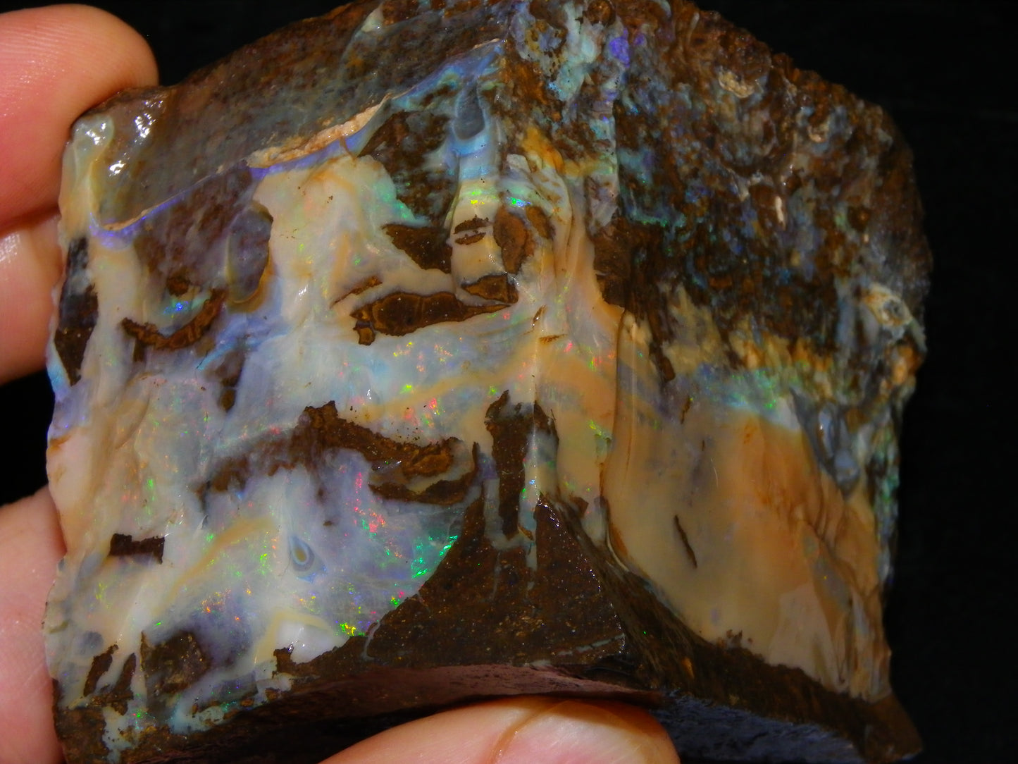 2 Large Split Queensland Boulder Opals 3086cts 5 Faces with Fires 2 matching Split
