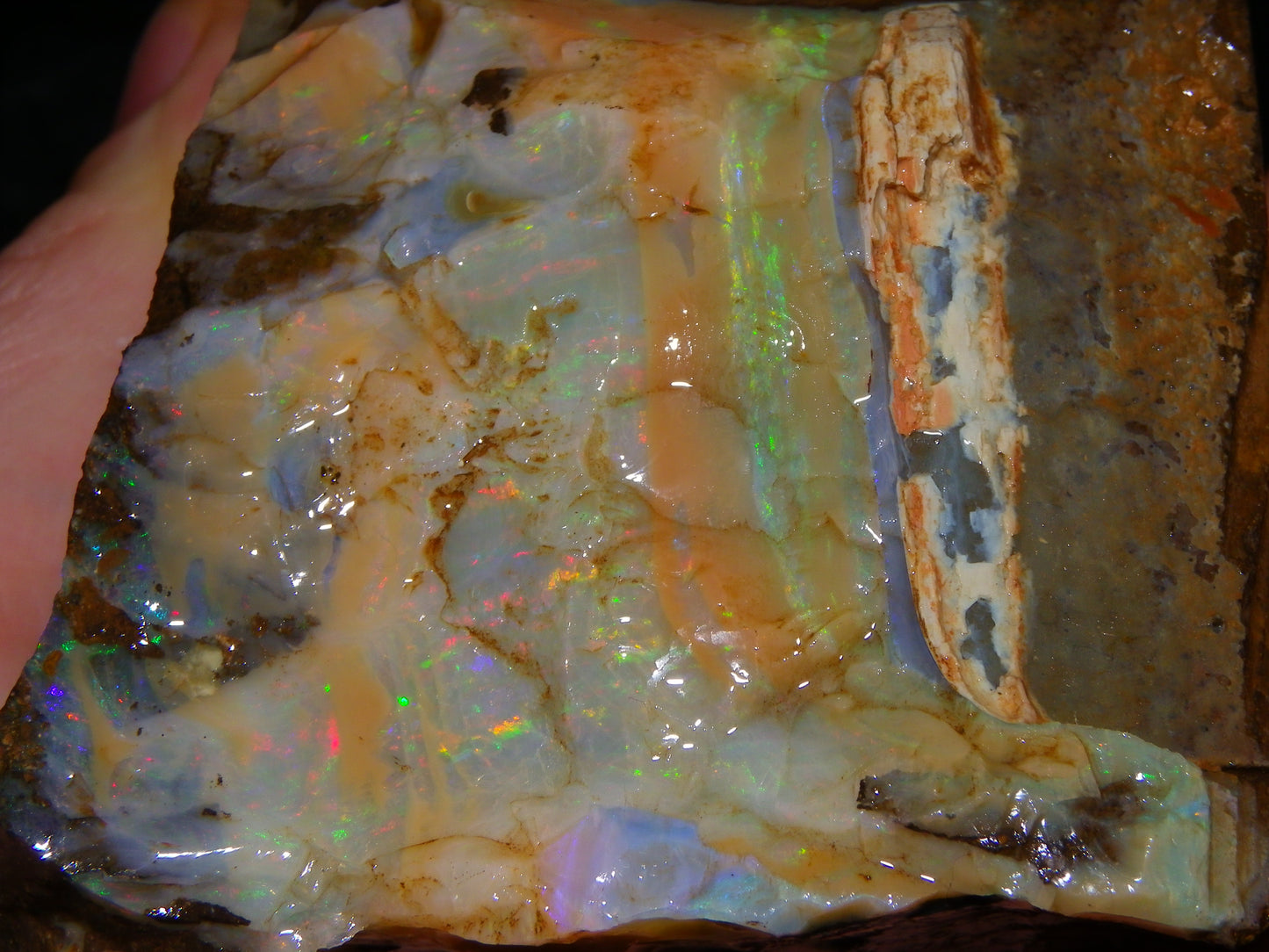 2 Large Split Queensland Boulder Opals 3086cts 5 Faces with Fires 2 matching Split