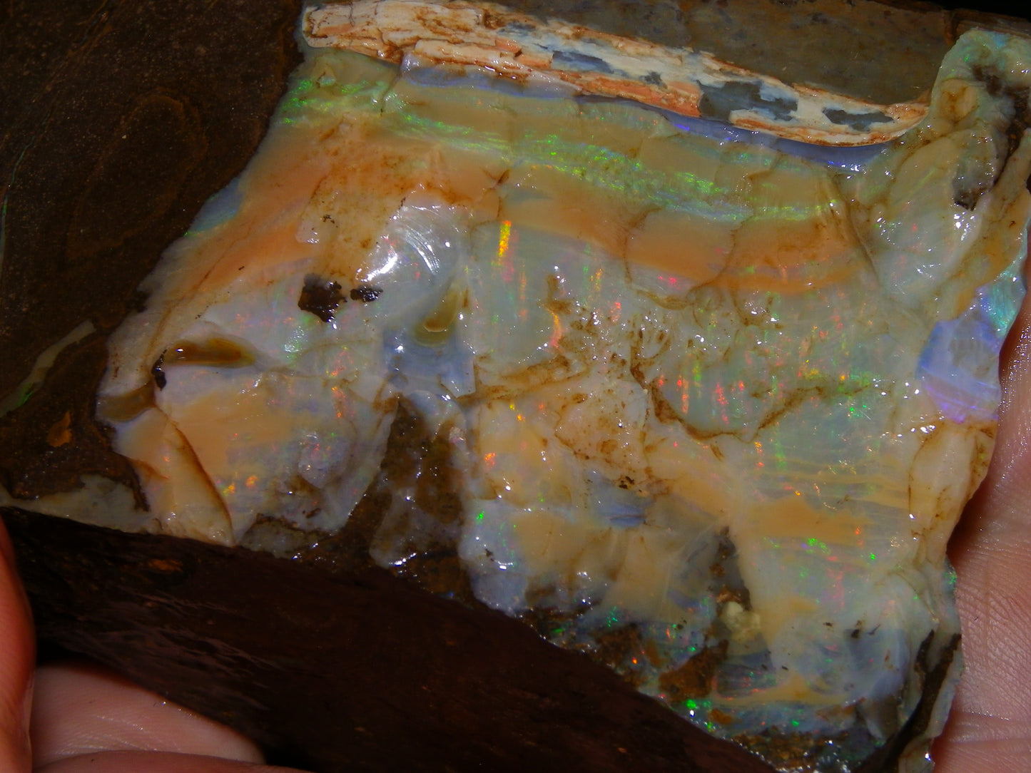 2 Large Split Queensland Boulder Opals 3086cts 5 Faces with Fires 2 matching Split
