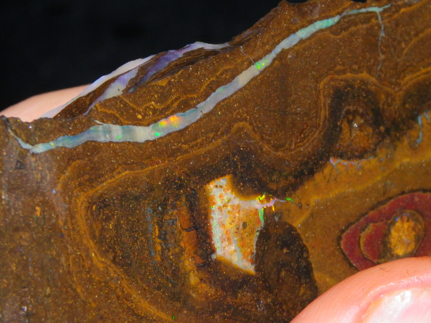 2 Large Split Queensland Boulder Opals 3086cts 5 Faces with Fires 2 matching Split