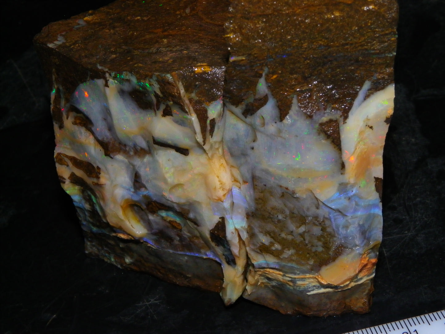 2 Large Split Queensland Boulder Opals 3086cts 5 Faces with Fires 2 matching Split