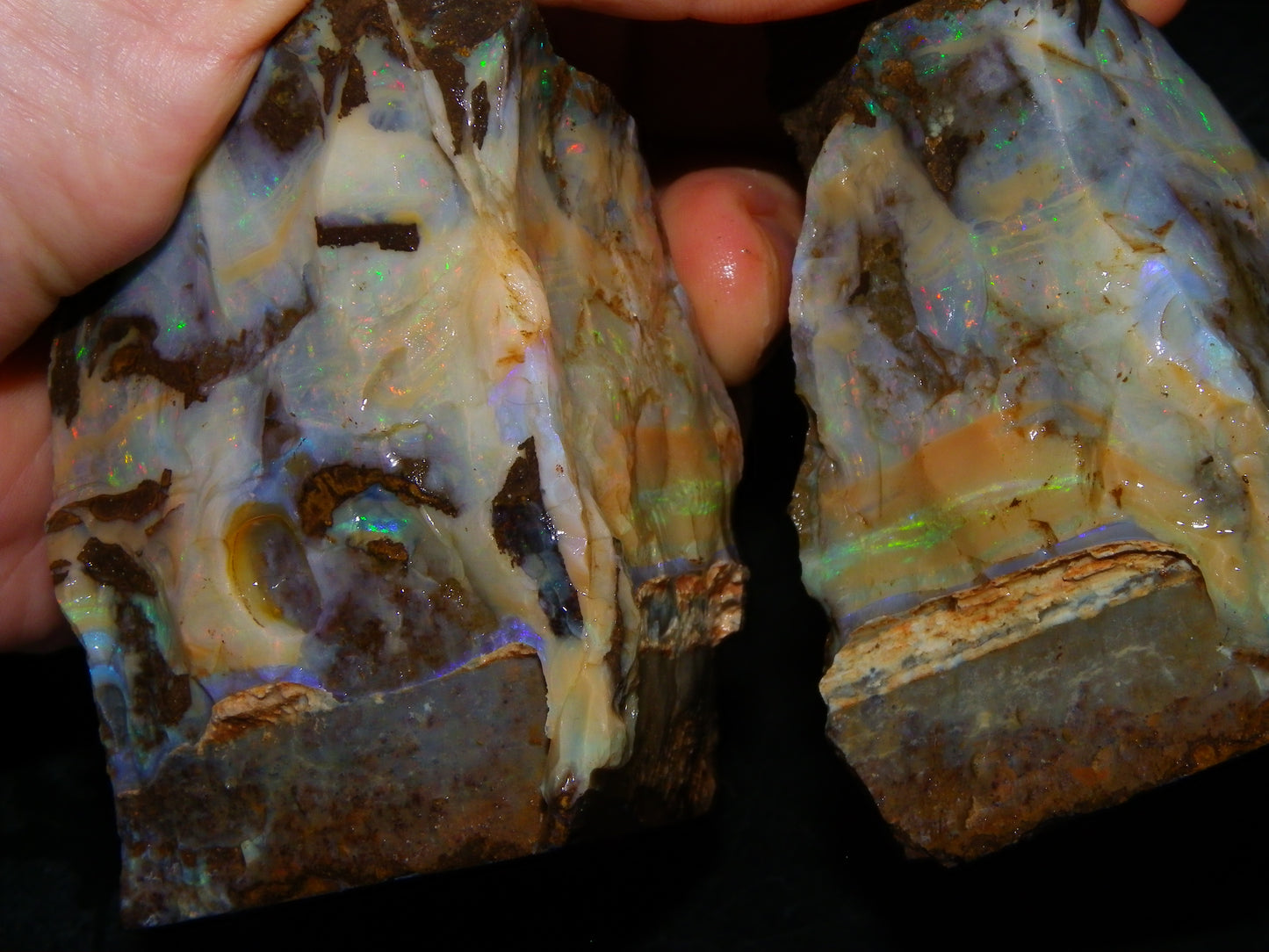 2 Large Split Queensland Boulder Opals 3086cts 5 Faces with Fires 2 matching Split