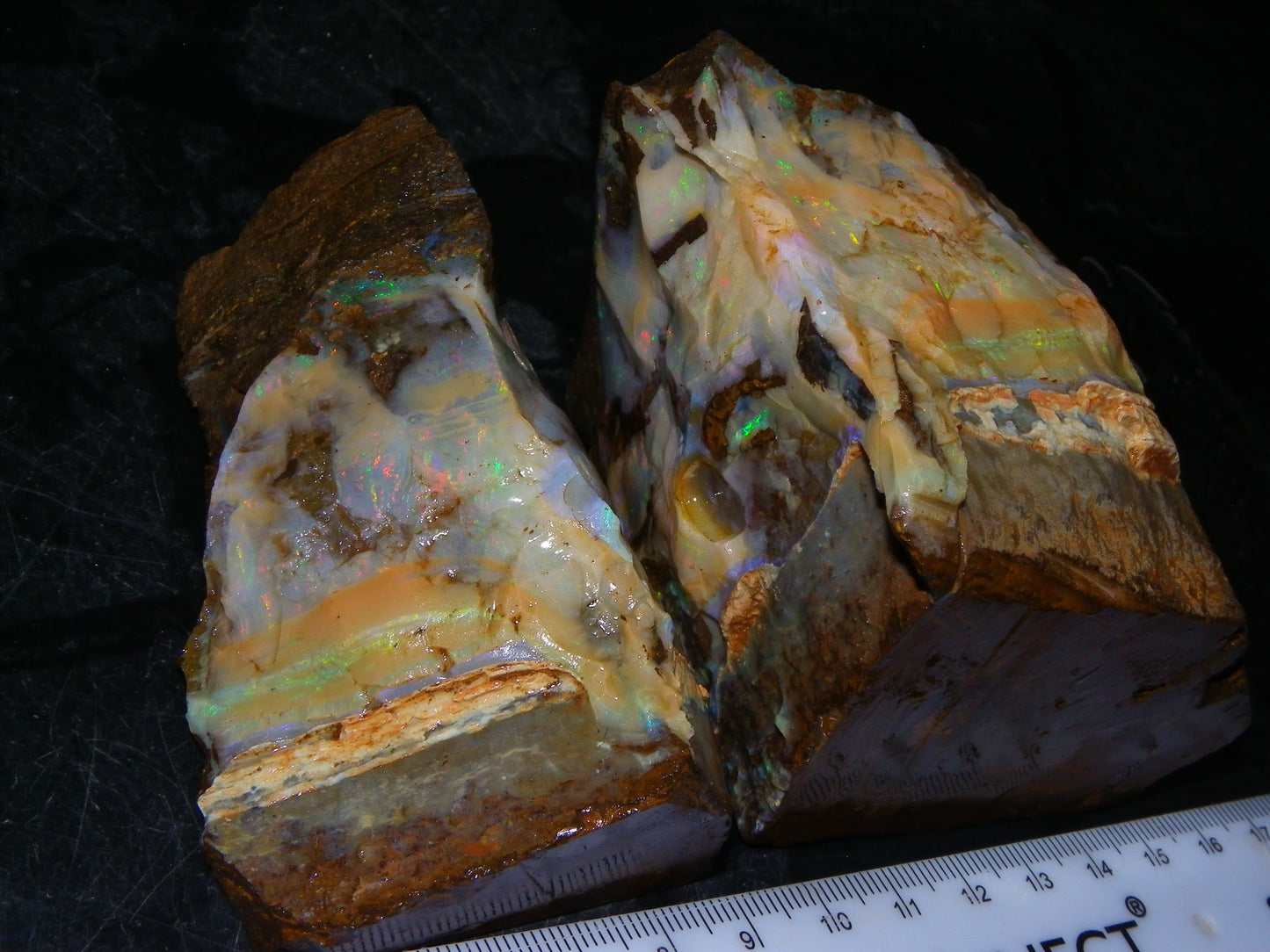 2 Large Split Queensland Boulder Opals 3086cts 5 Faces with Fires 2 matching Split
