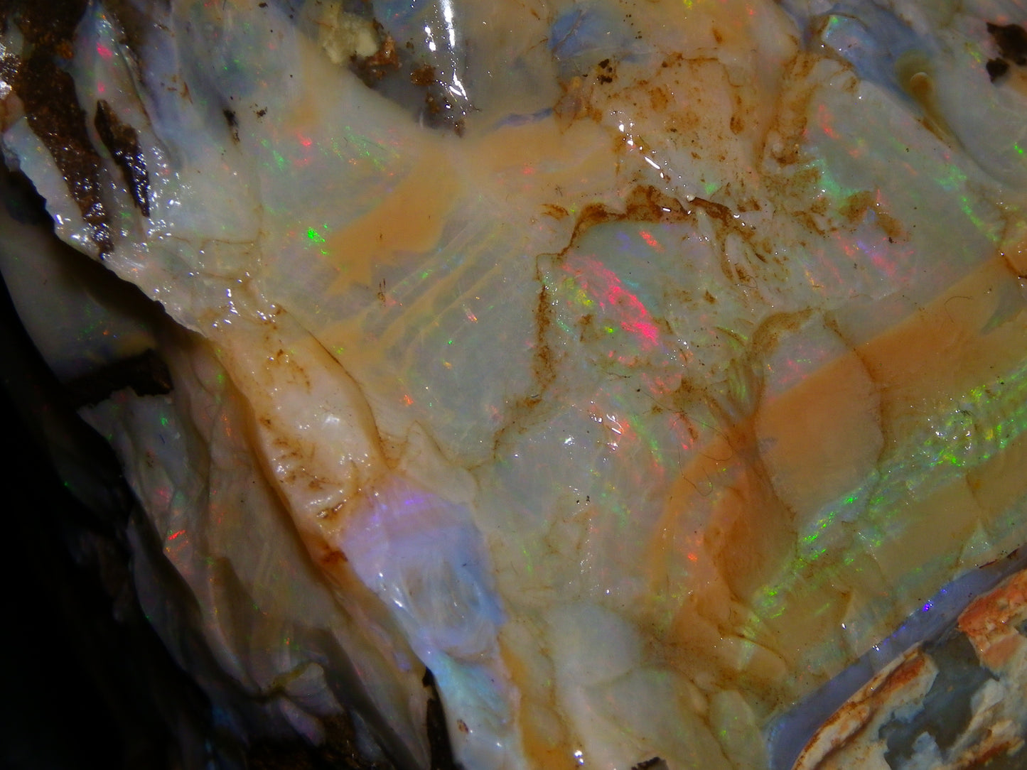 2 Large Split Queensland Boulder Opals 3086cts 5 Faces with Fires 2 matching Split