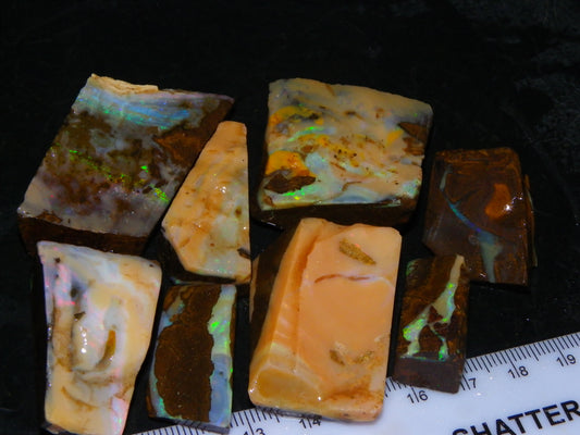 Nice Rough/Rubbed Boulder Opal Parcel 624cts Some Fires Caramel Potch/specimens