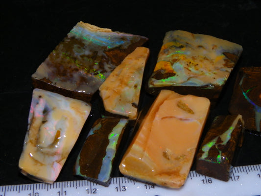 Nice Rough/Rubbed Boulder Opal Parcel 624cts Some Fires Caramel Potch/specimens